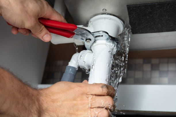 Best Flood restoration services  in Belington, WV