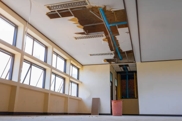 Best Water damage restoration near me  in Belington, WV