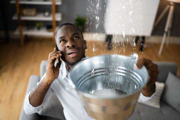 Carpet water damage restoration in Belington, WV