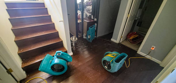 Reliable Belington, WV Water damage restoration Solutions