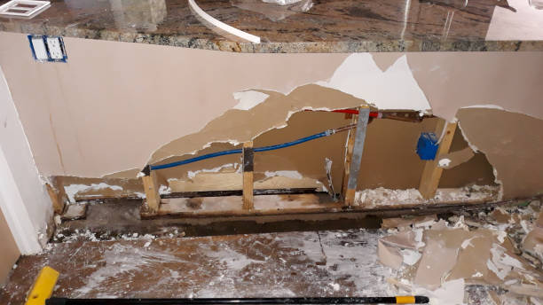 Best Flood damage cleanup  in Belington, WV