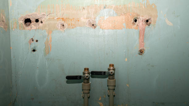 Best Emergency water extraction  in Belington, WV