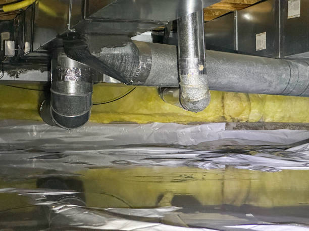 Best Flooded house restoration  in Belington, WV