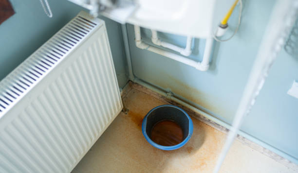 Best Commercial water damage restoration  in Belington, WV