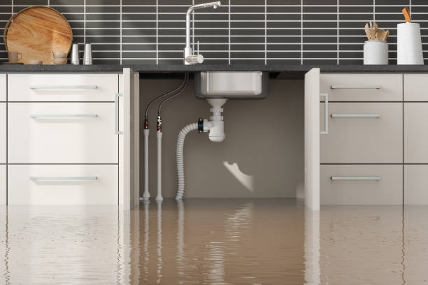 Best Fire Damage Restoration  in Belington, WV