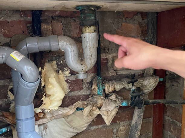 Water damage restoration mold remediation in Belington, WV