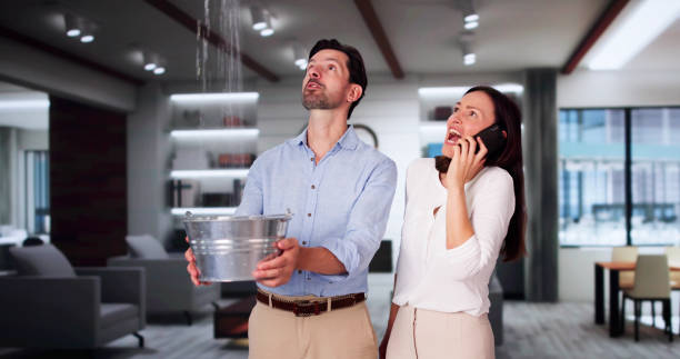 Best Sewage cleanup and water damage restoration  in Belington, WV