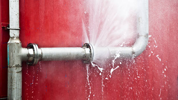 Best Water damage restoration mold remediation  in Belington, WV